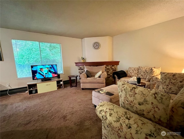 712714 142nd Pl SE, Bellevue, WA 98007 - living area featuring carpet flooring and baseboard heating