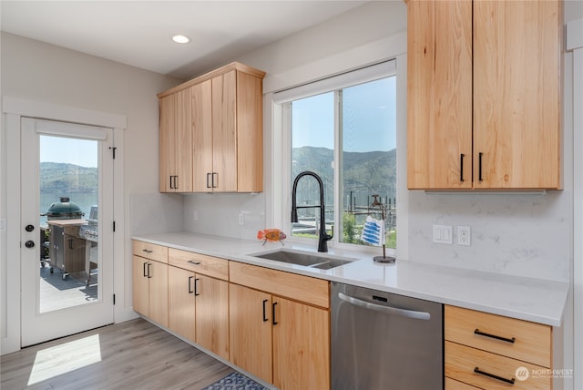 kitchen featuring a healthy amount of sunlight, light wood-type flooring, and stainless steel dishwasher