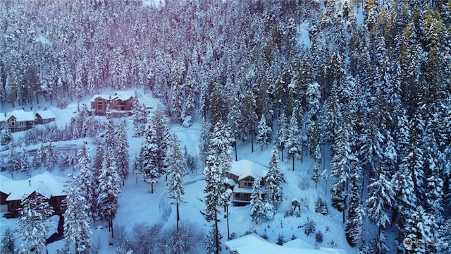 view of snowy aerial view