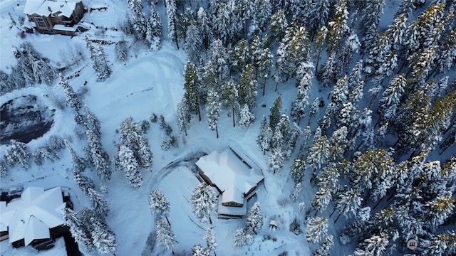 view of snowy aerial view