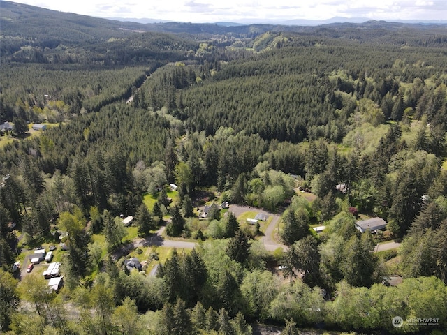90 W Arrowhead Dr, Elma, WA 98541