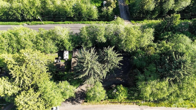 90 W Arrowhead Dr, Elma, WA 98541 - photo 23