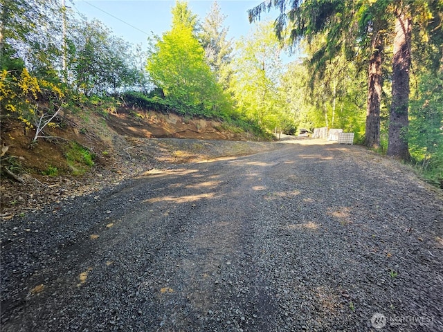 90 W Arrowhead Dr, Elma, WA 98541 - photo 28