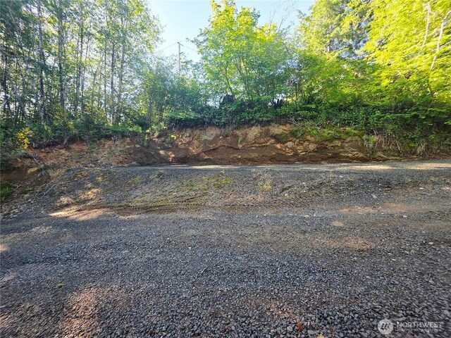 90 W Arrowhead Dr, Elma, WA 98541 - photo 29