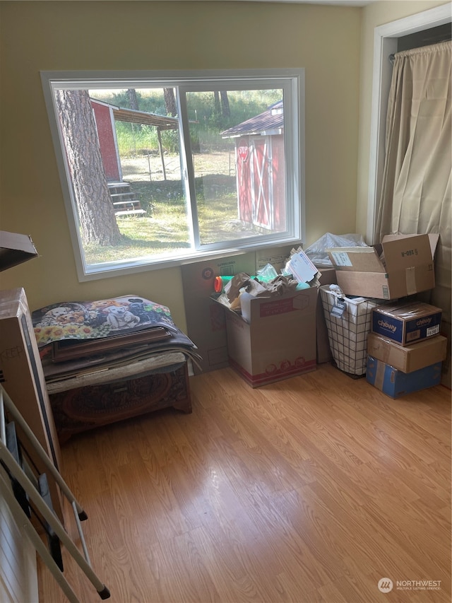 bedroom with light hardwood / wood-style flooring and multiple windows