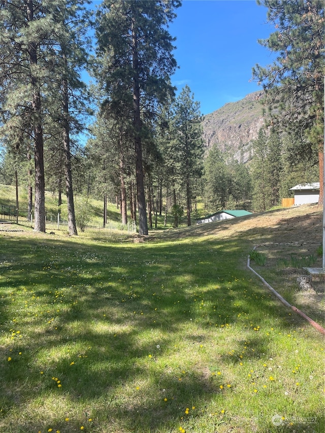 view of yard with a mountain view