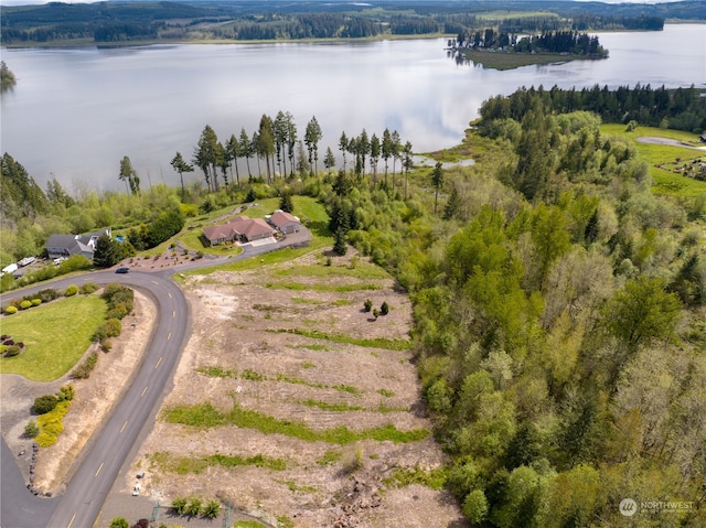 249 Basswood Dr, Silverlake WA, 98645 land for sale