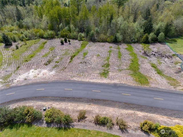 249 Basswood Dr, Silverlake, WA 98645 - photo 4