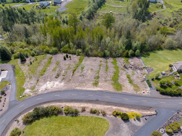 249 Basswood Dr, Silverlake, WA 98645 - photo 5