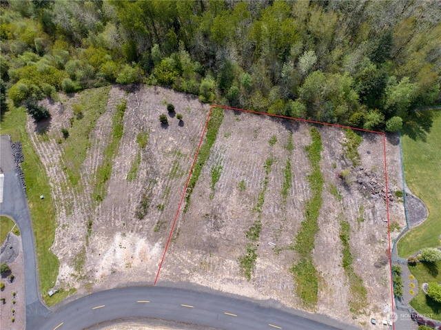 249 Basswood Dr, Silverlake, WA 98645 - photo 9