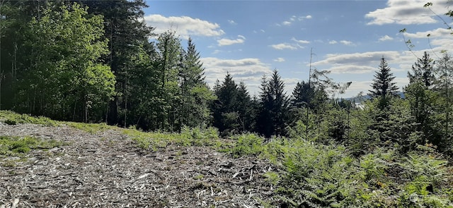 200 NE Wj Way, Belfair WA, 98528 land for sale