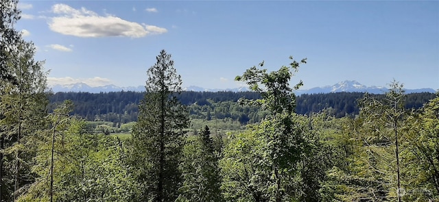 Listing photo 2 for 200 NE Wj Way, Belfair WA 98528