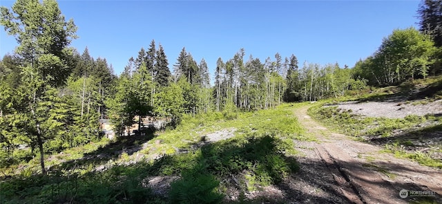 261 NE Wj Way, Belfair WA, 98528 land for sale