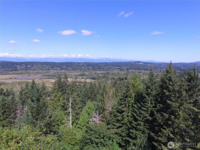 301 NE Wj Way, Belfair, WA 98528 - photo 8