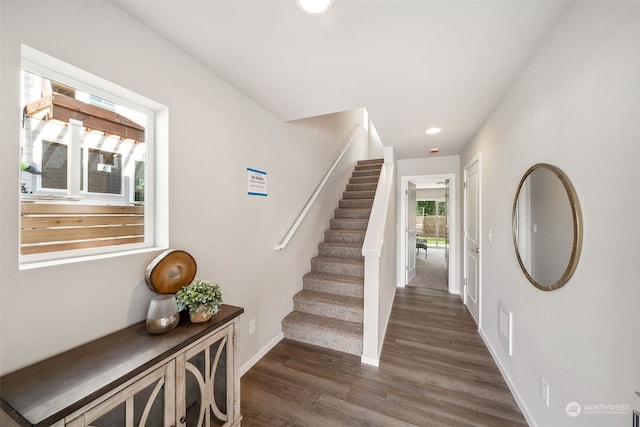 foyer entrance with dark hardwood / wood-style floors