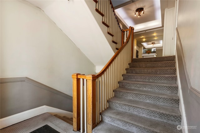 stairway featuring carpet floors