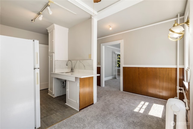 kitchen with dark hardwood / wood-style floors, white fridge, pendant lighting, rail lighting, and sink