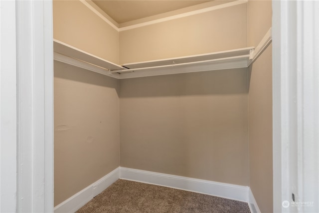 spacious closet with carpet flooring