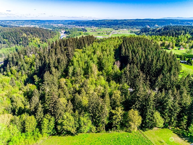 21721 Orville Rd E, Orting WA, 98360 land for sale