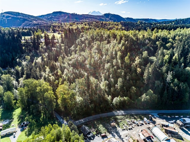 21635 Orville Rd E, Orting WA, 98360 land for sale