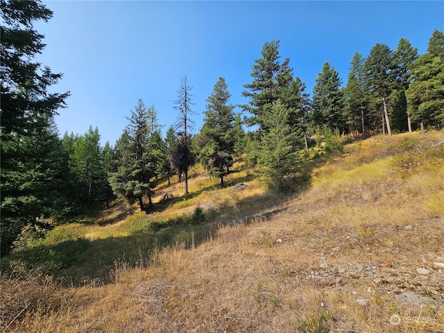 0 Matts Rd, Oroville WA, 98844 land for sale