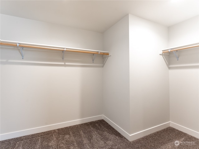 384 Emma Dr, Wenatchee, WA 98801 - walk in closet featuring dark carpet