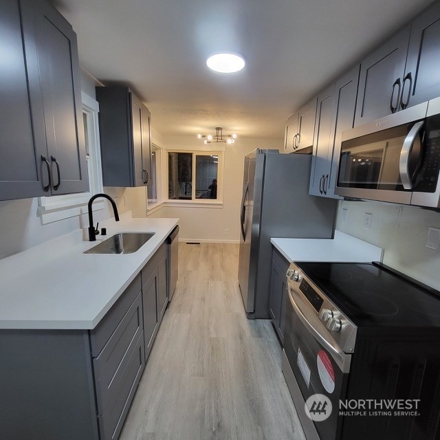 kitchen with sink, stainless steel appliances, light wood-type flooring, and gray cabinetry