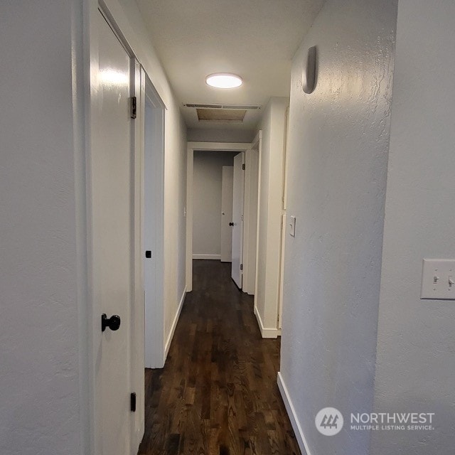 hall with dark hardwood / wood-style flooring