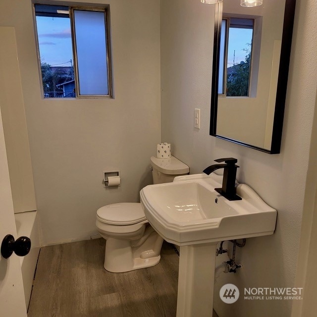 bathroom featuring hardwood / wood-style flooring and toilet