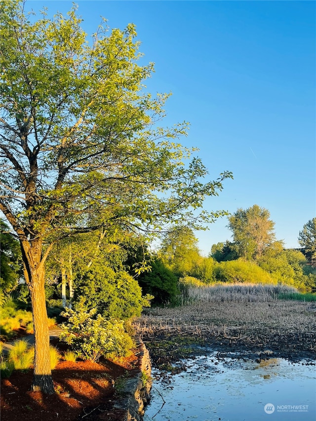 view of landscape