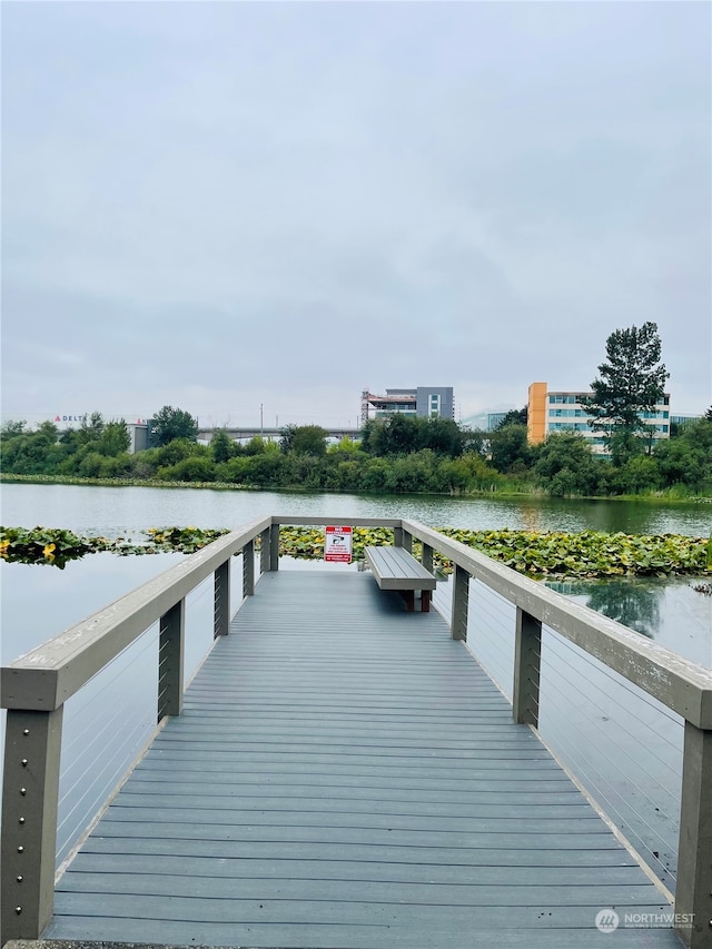 dock area with a water view