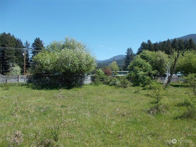 0LOT1 Tumac St W, Packwood, WA 98361