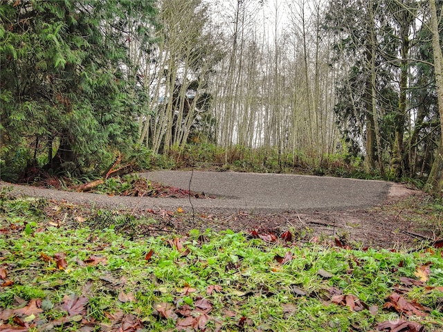 Listing photo 3 for 235 S Bay Way, Port Ludlow WA 98365