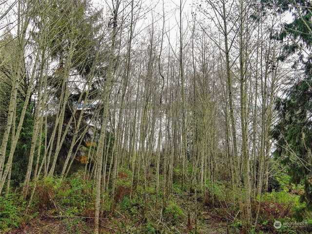 235 S Bay Way, Port Ludlow, WA 98365
