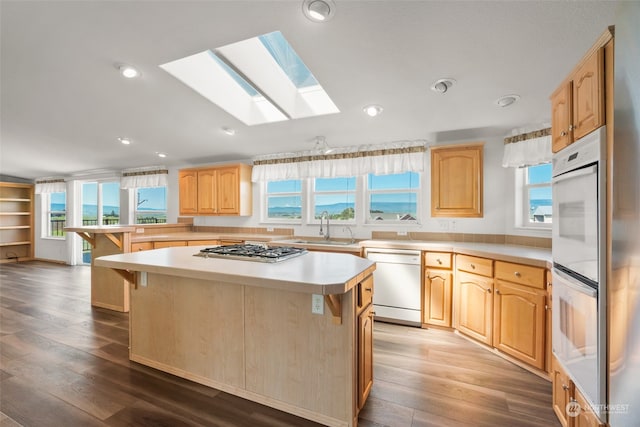 kitchen featuring a skylight, plenty of natural light, and dishwasher