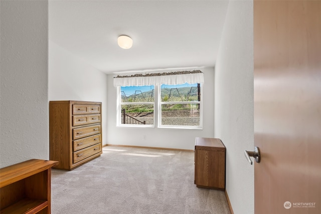 bedroom with light carpet