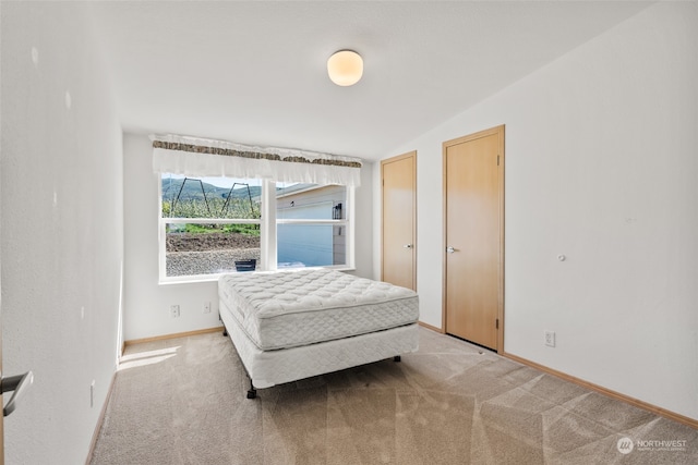 carpeted bedroom featuring two closets