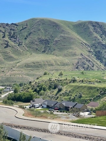 9955 Griffith Pl, Entiat WA, 98822 land for sale