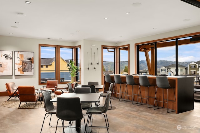 dining space featuring a mountain view, light hardwood / wood-style flooring, and a healthy amount of sunlight