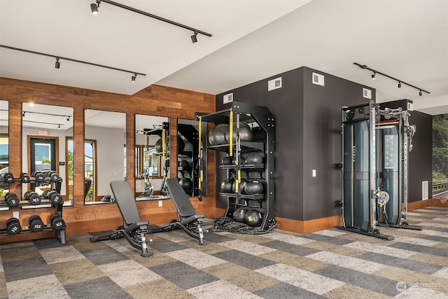 workout area with dark colored carpet, rail lighting, and wood walls