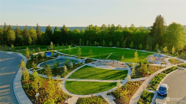 view of community with a lawn