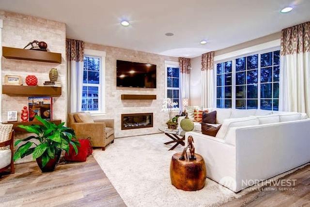 living room with a fireplace and wood-type flooring