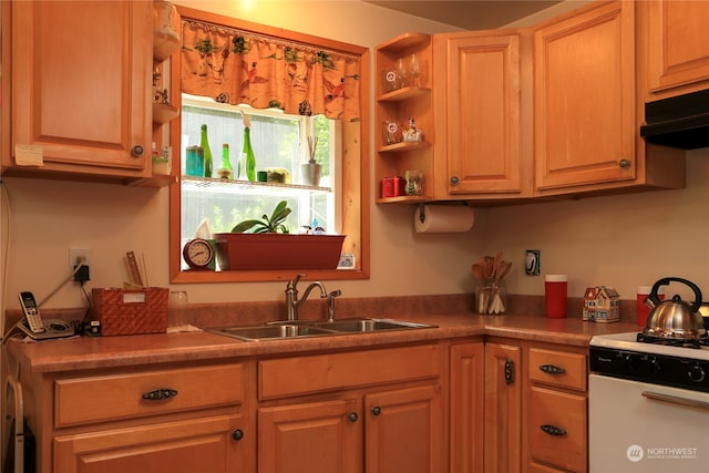 kitchen with sink and white range