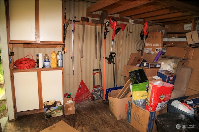 basement featuring hardwood / wood-style flooring