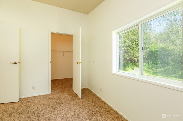 unfurnished bedroom featuring a closet, light carpet, baseboards, and a spacious closet