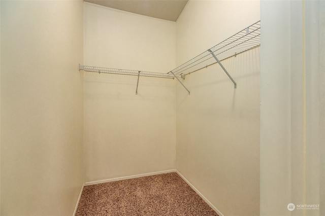 walk in closet with carpet flooring