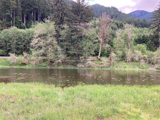 1 US Highway 12, Packwood, WA 98361