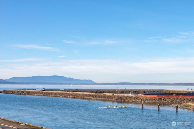 1025 Granary Ave Unit 501, Bellingham, WA 98225 - water view with mountains