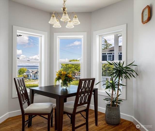 dining room with a healthy amount of sunlight, a notable chandelier, and hardwood / wood-style floors