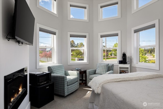 carpeted bedroom featuring a high ceiling